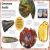 My Book of Fossils Preview 3