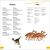 DK Super Readers Level 2 Dinosaur Dinners Preview 3