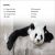 DK Super Readers Level 2 The Great Panda Tale Preview 1