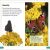 DK Super Readers Level 3 Animal Hide and Seek Preview 3