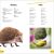 DK Super Readers Level 2 Animals at Home Preview 3