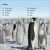 DK Super Readers Level 3 Emperor Penguins Preview 1