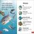 DK Super Readers Pre-Level Little Sharks Big Sharks Preview 4