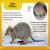 DK Super Readers Level 2 Quokkas Preview 3