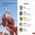 DK Super Readers Pre-Level Amusement Park Preview 4