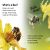 DK Super Readers Level 2 Amazing Bees Preview 2