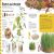 The Simple Science Activity Book Preview 2