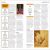 The Philosophy Book Preview 3