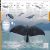 Animals: A Visual Encyclopedia (Second Edition) Preview 1