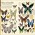 Animals: A Visual Encyclopedia (Second Edition) Preview 3