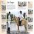 How To...Horse Riding Preview 3