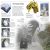 DK Eyewitness Books: Hurricane & Tornado Preview 1