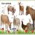 My First Animals Preview 1