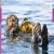 Ocean: A Visual Encyclopedia Preview 3