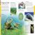 Ocean: A Visual Encyclopedia Preview 4