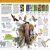 Knowledge Encyclopedia Animal! Preview 1