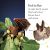DK Readers L1: All About Bats Preview 3