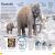 DKfindout! Stone Age Preview 1