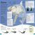 DKfindout! Sharks Preview 3