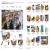 Italian-English Bilingual Visual Dictionary Preview 2