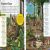 DKfindout! Forest Preview 1