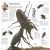 DK Eyewitness Books: Insect Preview 2