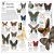 DK Eyewitness Books: Insect Preview 3