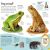 DKfindout! Reptiles and Amphibians Preview 1