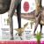 Dinosaur A to Z Preview 1
