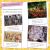 DK Readers L2 Festivals and Celebrations Preview 1