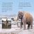 DK Readers L2: Life In the Stone Age Preview 2