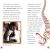 DK Readers L3: Women in Science Preview 4