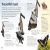 Butterflies and Moths Preview 3