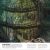 Our World in Pictures: Trees, Leaves, Flowers & Seeds Preview 1