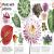Our World in Pictures: Trees, Leaves, Flowers & Seeds Preview 2