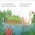 The Ugly Duckling Preview 1