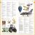 Merriam-Webster Children's Dictionary Preview 3