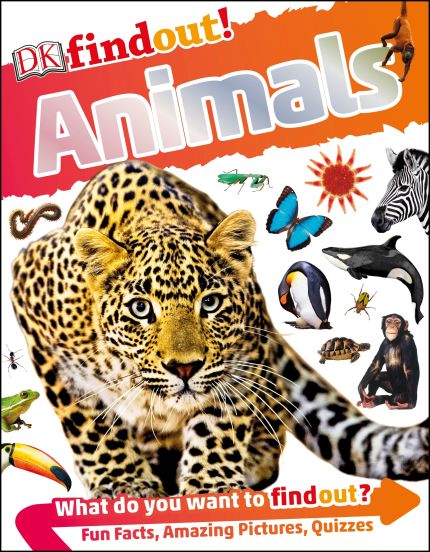 DKfindout! Animals cover