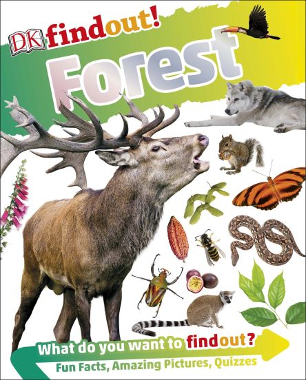 DKfindout! Forest cover