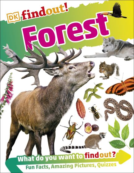 DKfindout! Forest cover
