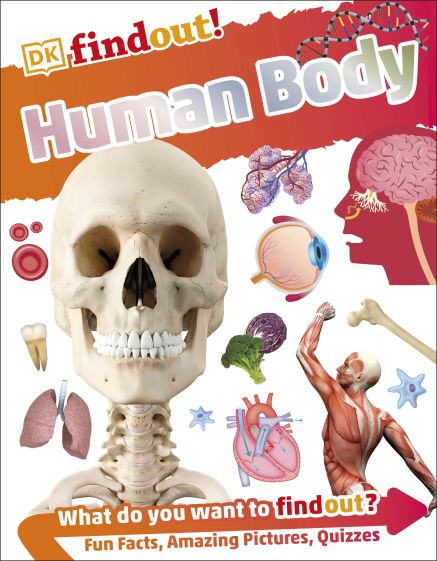 DKfindout! Human Body cover