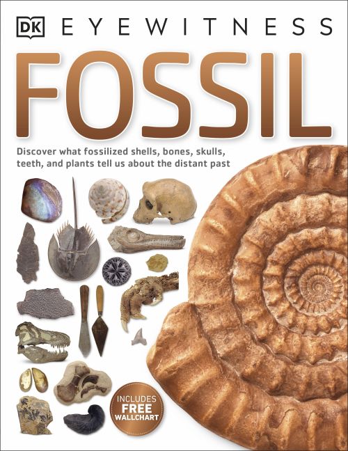 Fossil cover