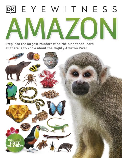 Amazon cover