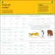 10 Minutes A Day Decimals, Ages 7-11 (Key Stage 2) Preview 2