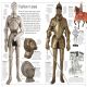 Knight Preview 2