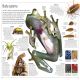 Animal Preview 3