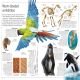 Animal Preview 4