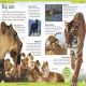 First Animal Encyclopedia Preview 1