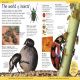 First Animal Encyclopedia Preview 4