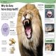 Do You Know About Animals? Preview 1